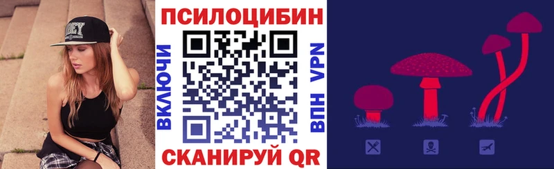 купить  сайты  даркнет формула  Галлюциногенные грибы MAGIC MUSHROOMS  Павловский Посад 